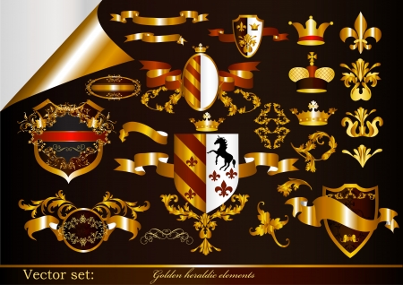 Luxury heraldic elements for designのイラスト素材