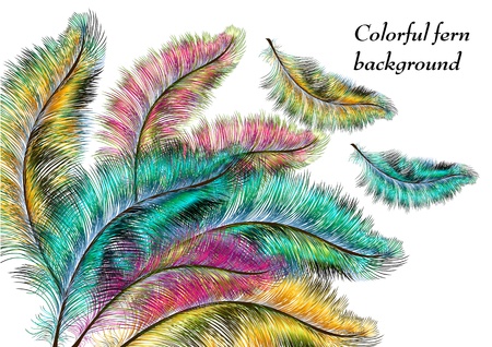 Colorful ferns for your designのイラスト素材