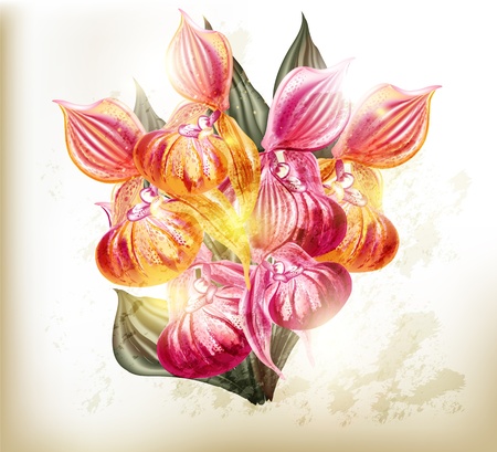  illustration with orchidsのイラスト素材