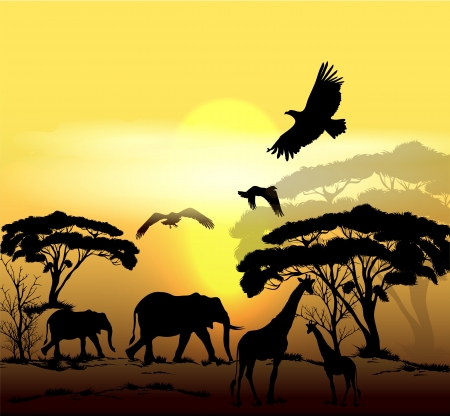 Vector savanna scene のイラスト素材