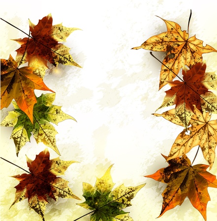 Autumn vector のイラスト素材
