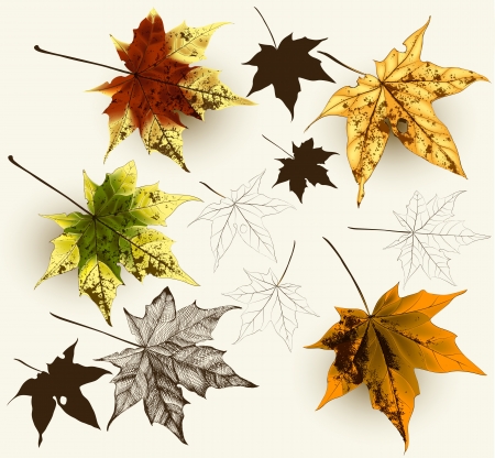 Vector labels setのイラスト素材