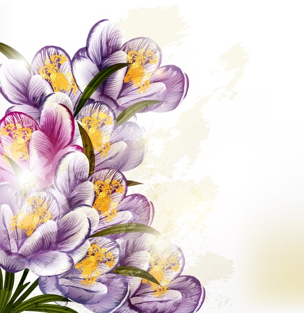 Floral vectorのイラスト素材