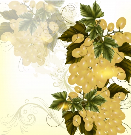 Crustier of  light vine grapes on grunge background のイラスト素材