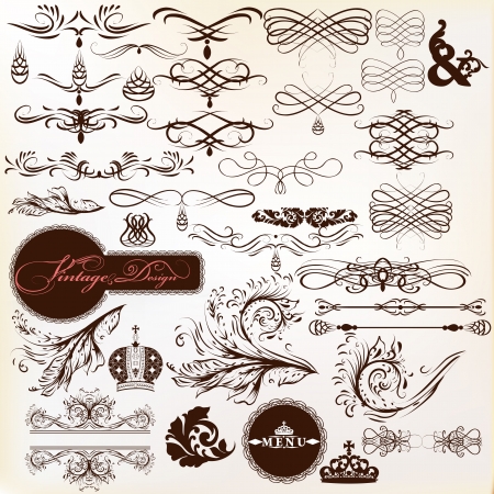 Vector set of calligraphic elements for design  Calligraphic vectorのイラスト素材