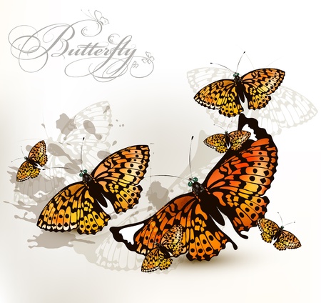 Vector illustration with butterflies on white backgroundのイラスト素材