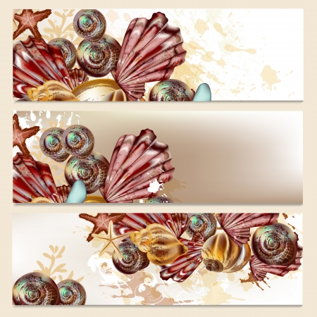 Vector background with detailed shells on white for summer designのイラスト素材