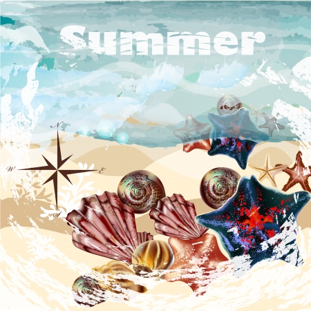 Vector background with detailed shells on a sand for summer designのイラスト素材