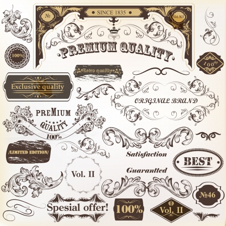 Vector set of calligraphic elements for design. Calligraphic vector のイラスト素材