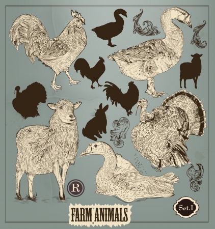 Vector set of detailed farm animals in vintage style for design のイラスト素材