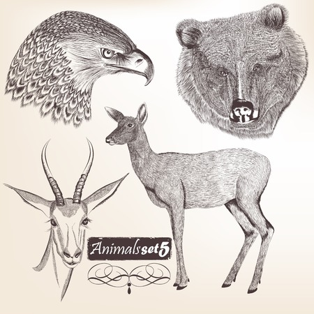 Collection  of high detailed vector animals for designのイラスト素材