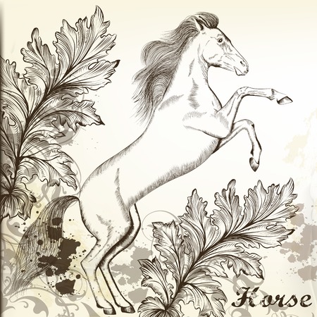 Vector illustration with hand drawn horseのイラスト素材