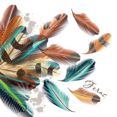 Vector illustration with colored vector ferns for your designのイラスト素材