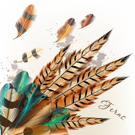 Vector illustration with colored vector ferns for your designのイラスト素材