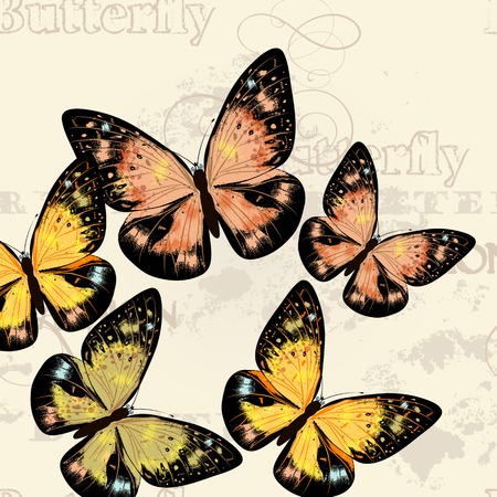 illustration with colorful butterflies for designのイラスト素材