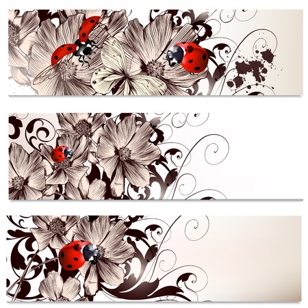 Set of floral brochures with  cosmos flowers for designのイラスト素材