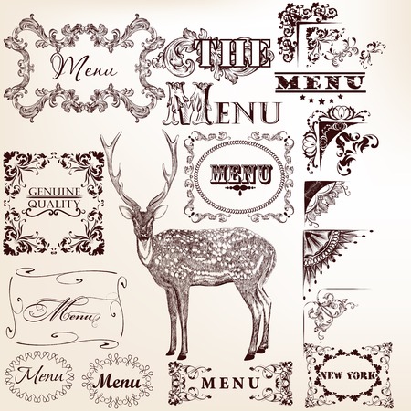 set of calligraphic elements for design  のイラスト素材