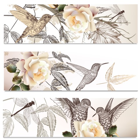 Vector set of floral  hand drawn brochures with hummingbirds for business cards designのイラスト素材
