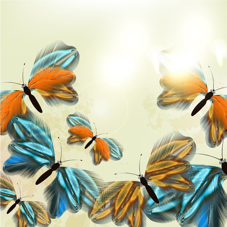 illustration with  butterflies made from feathers for designのイラスト素材