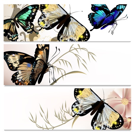 Vector set of floral brochures for your designのイラスト素材