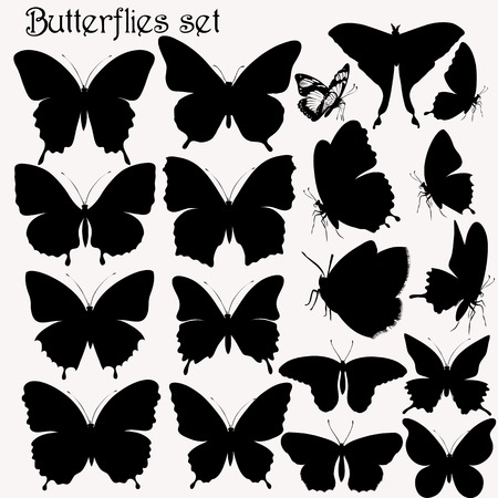 Vector set of detailed black silhouettes of butterflies for designのイラスト素材