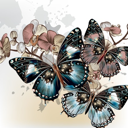 Vector illustration with fashion stylish butterflies and orchidsのイラスト素材