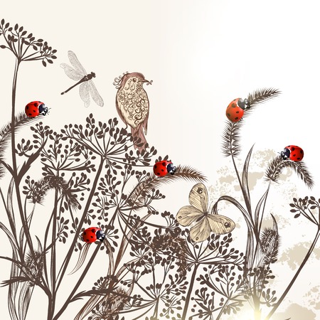 illustration with field plants for designのイラスト素材