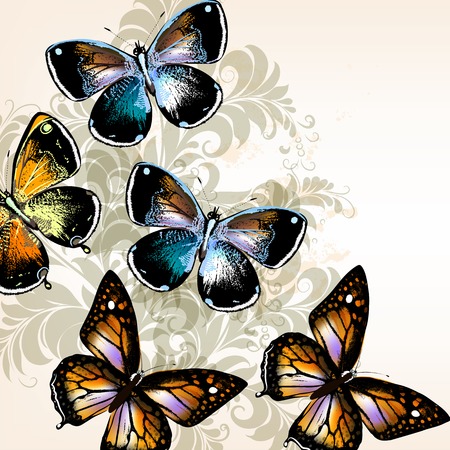 illustration with  detailed butterflies in vintage styleのイラスト素材