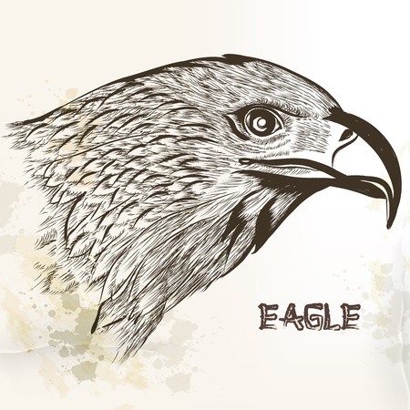 hand drawn eagle close up planeのイラスト素材