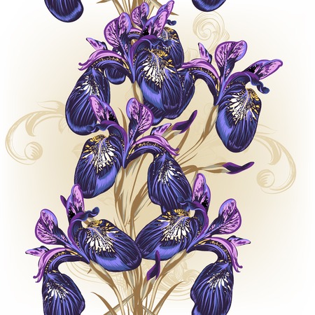 Background with blue and purple irises for designのイラスト素材