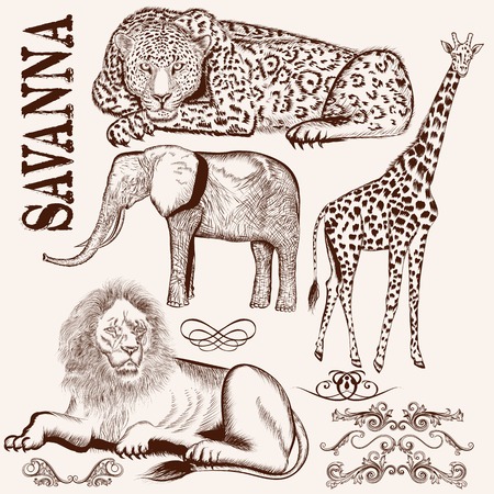 set of hand drawn detailed African animals with calligraphic elementsのイラスト素材