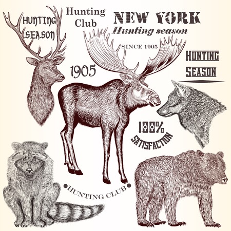 Set of vector detailed animals for designのイラスト素材