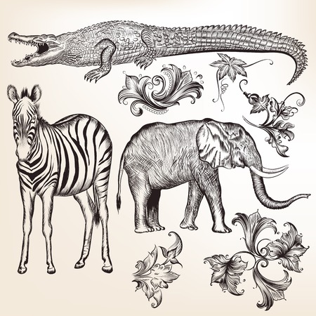 Collection of vector swirls and animalsのイラスト素材