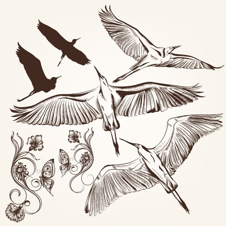 ]Set of vector hand drawn birds and swirlsのイラスト素材