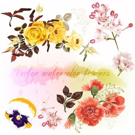 Colorful vector set of detailed flowers imitation of watercolorのイラスト素材