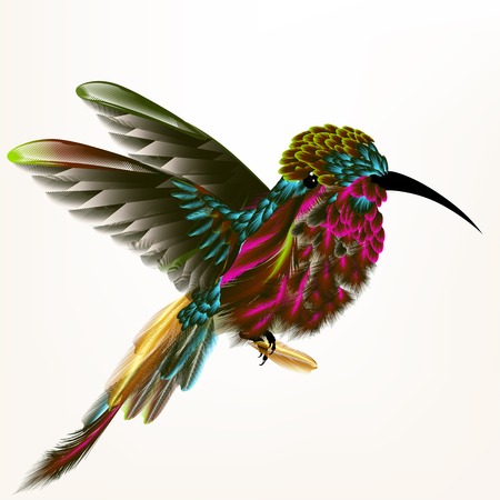 Colorful hummingbird in fly holding featherのイラスト素材