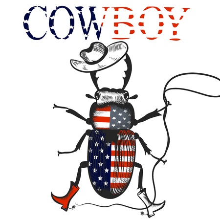 Creative cowboy beetle colored in USA flag symbol of rodeoのイラスト素材