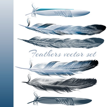 Collection of realistic blue feathers for designのイラスト素材