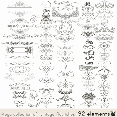 Collection of vector calligraphic elements and page decorationsのイラスト素材
