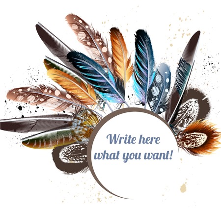 Beautiful vector colorful feathers and banner for text. Realistic feathers for your designのイラスト素材