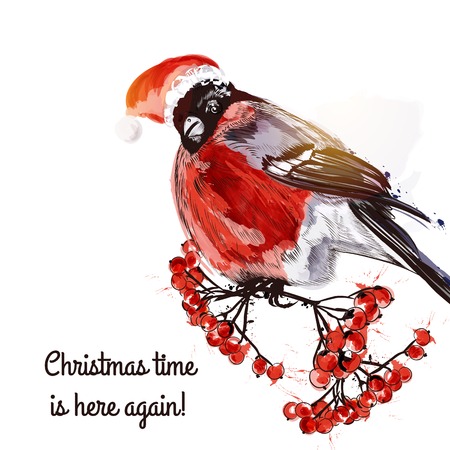 Christmas greeting card with bullfinch and rowanのイラスト素材