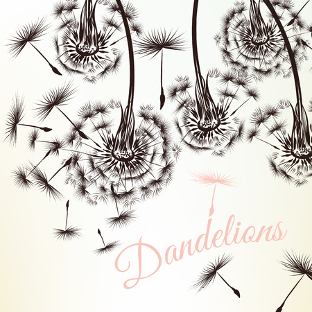Background with hand drawn  dandelionsのイラスト素材