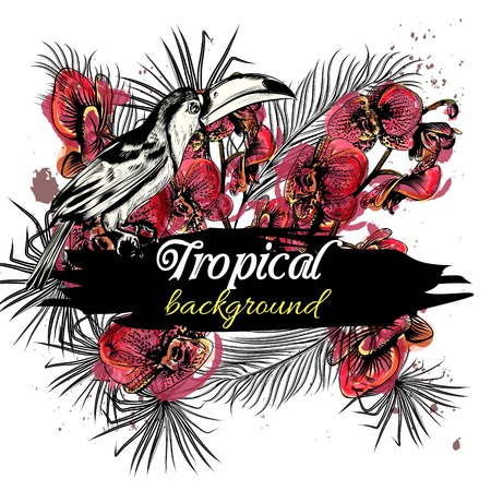 Background with orchid flowers, toucan and tropical palm leafs in engraved and watercolor stylesのイラスト素材