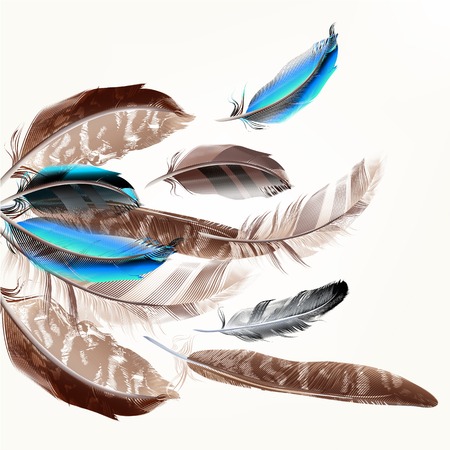 Fashion background with blue and brown  feathers for designのイラスト素材