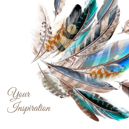 Fashion background with blue white and brown  feathers in realistic style symbol of inspirationのイラスト素材