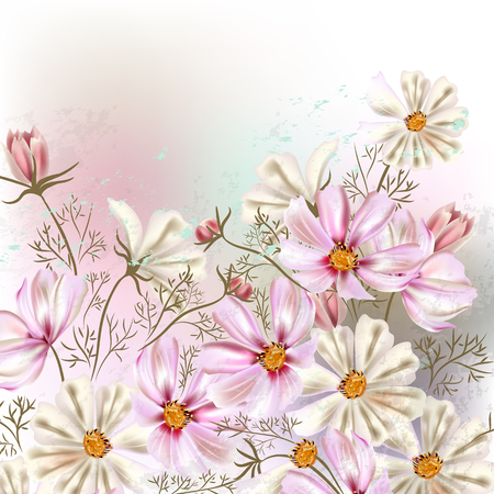 Background or illustration with cosmos  flowers in retro styleのイラスト素材