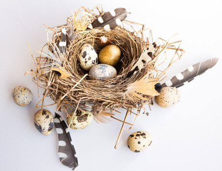 Easter composition with bird nest eggs and feathers on white background with clean spaceの写真素材