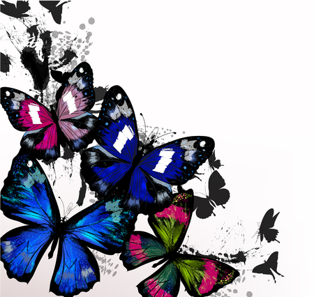 Fashion background  with colorful butterflies  and ink spots, grunge style backgroundのイラスト素材