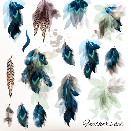 Big set of detailed bird feathers in realistic and floral  styleのイラスト素材