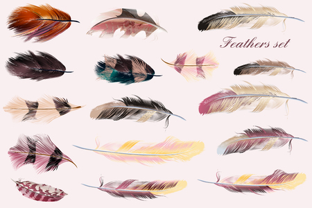 Beautiful collection of feathers in pink soft colors. Fashion illustrationのイラスト素材